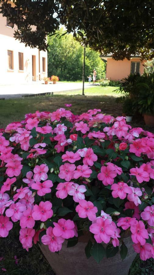 Quo Vadis Qui Vieni Bed & Breakfast Rovigo Exterior photo